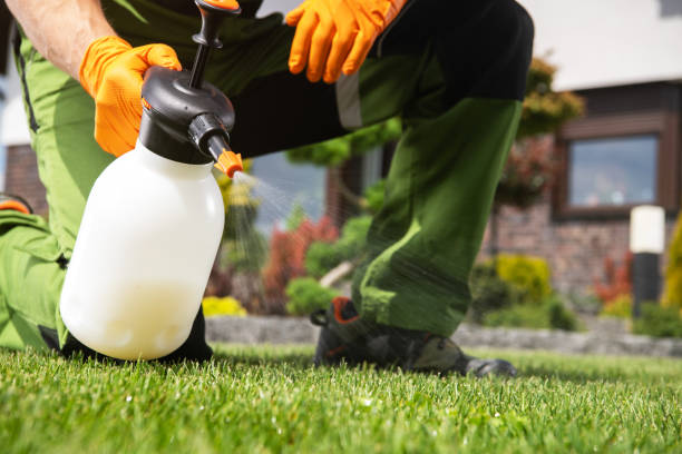 Best Flea Control Services  in Cuthbert, GA