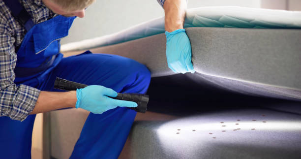 Wasp Removal Services in Cuthbert, GA