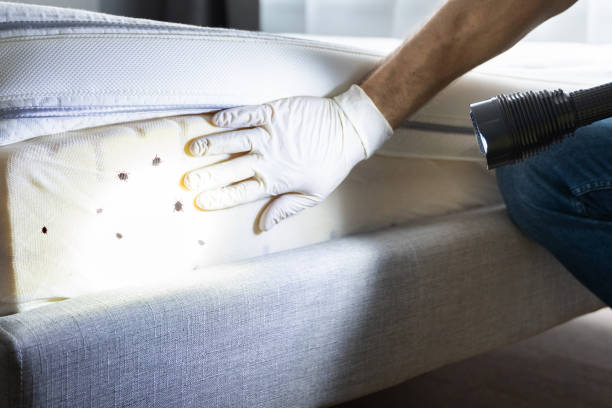 Best Commercial Pest Control Services  in Cuthbert, GA