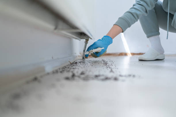 Best Affordable Pest Control Services  in Cuthbert, GA